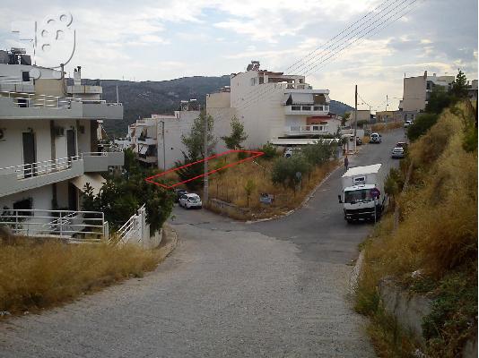 ΠΩΛΗΣΗ ΟΙΚΟΠΕΔΟΥ ΣΤΟ ΧΑΙΔΑΡΙ, ΑΝΩ ΔΑΣΟΣ